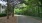 Paved walkway with trees on both sides